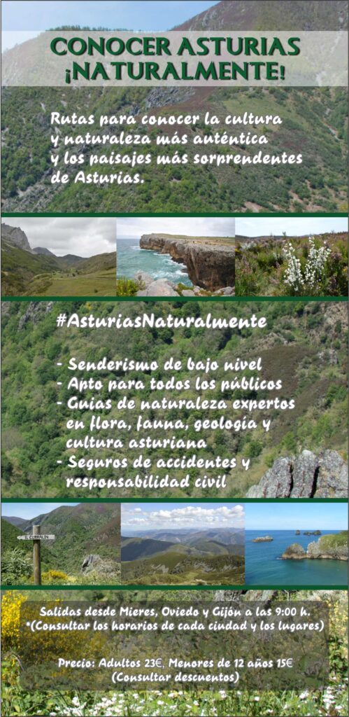 Conocer Asturias Naturalmente 1