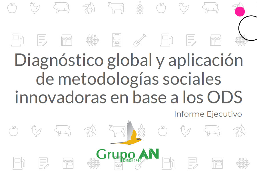 Diagnóstico global y aplicación de metodologías sociales innovadoras en base a los ODS para Grupo AN